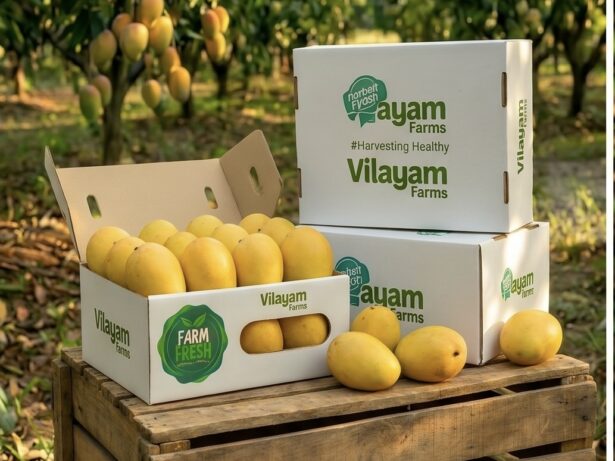 banginapalli mangoes premium