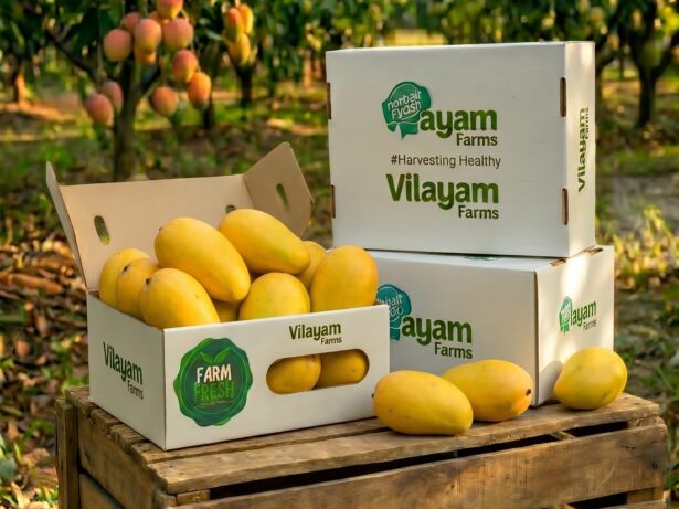 Dasheri Mango